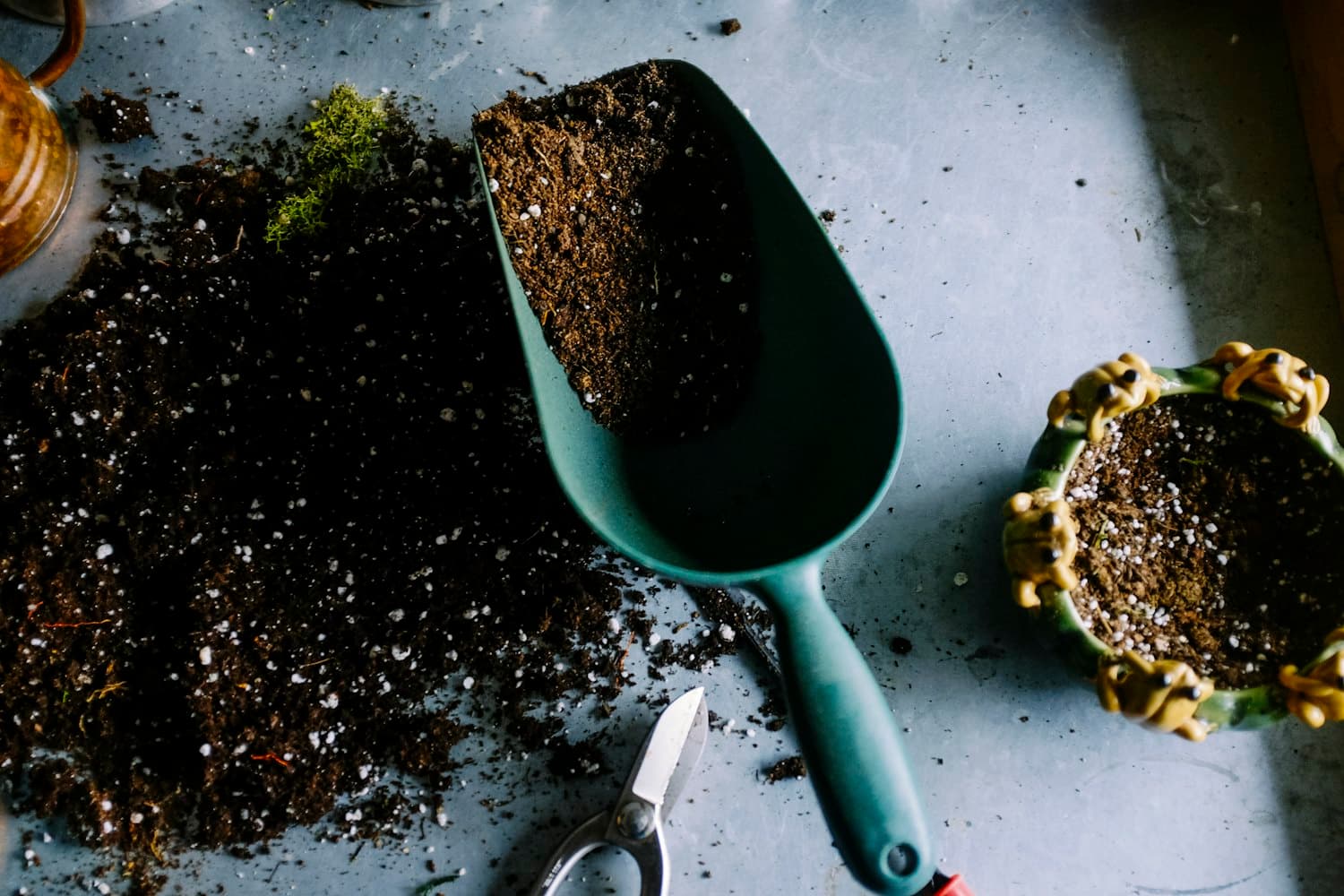 A scoop of dark, rich soil with seeds and a young plant